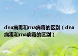 dna病毒和rna病毒的区别（dna病毒和rna病毒的区别）
