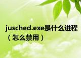 jusched.exe是什么进程（怎么禁用）
