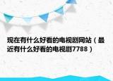 现在有什么好看的电视剧网站（最近有什么好看的电视剧7788）