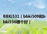 BBKi531（bbki509和bbki536哪个好）