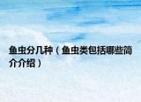 鱼虫分几种（鱼虫类包括哪些简介介绍）