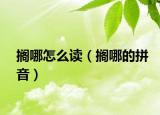 搁哪怎么读（搁哪的拼音）