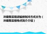 冷藏集装箱运输按制冷方式分为（冷藏集装箱特点简介介绍）
