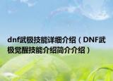 dnf武极技能详细介绍（DNF武极觉醒技能介绍简介介绍）
