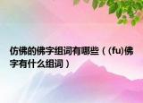 仿佛的佛字组词有哪些（(fu)佛字有什么组词）