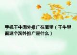 手机千牛淘外推广在哪里（千牛里面这个淘外推广是什么）