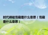 时代峰峻雪藏是什么意思（雪藏是什么意思）