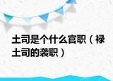 土司是个什么官职（禄土司的袭职）