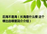后海不是海（长海是什么梗 这个梗出自哪里简介介绍）