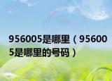 956005是哪里（956005是哪里的号码）