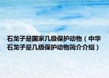 石龙子是国家几级保护动物（中华石龙子是几级保护动物简介介绍）