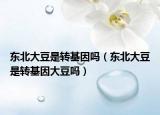东北大豆是转基因吗（东北大豆是转基因大豆吗）