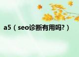 a5（seo诊断有用吗?）