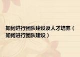 如何进行团队建设及人才培养（如何进行团队建设）