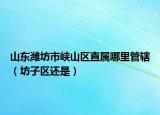 山东潍坊市峡山区直属哪里管辖（坊子区还是）