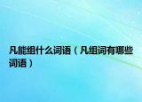 凡能组什么词语（凡组词有哪些词语）