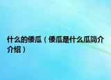 什么的倭瓜（倭瓜是什么瓜简介介绍）