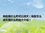 蚂蚁用什么药可以消灭（蚂蚁怎么消灭用什么药简介介绍）