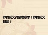 静的反义词是啥意思（静的反义词是）