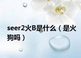 seer2火B是什么（是火狗吗）