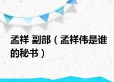 孟祥 副部（孟祥伟是谁的秘书）