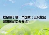 松鼠属于哪一个国家（三只松鼠是哪国的简介介绍）