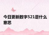 今日更新数字521是什么意思