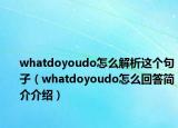 whatdoyoudo怎么解析这个句子（whatdoyoudo怎么回答简介介绍）