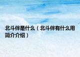 北斗伴是什么（北斗伴有什么用简介介绍）