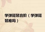 学弹琵琶音阶（学弹琵琶难吗）