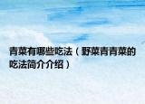 青菜有哪些吃法（野菜青青菜的吃法简介介绍）