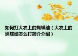 如何打大衣上的蝴蝶结（大衣上的蝴蝶结怎么打简介介绍）