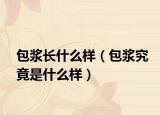 包浆长什么样（包浆究竟是什么样）