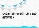 父爱是生命中最美的礼物（父爱是怎样的）
