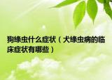 狗绦虫什么症状（犬绦虫病的临床症状有哪些）