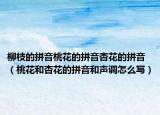 柳枝的拼音桃花的拼音杏花的拼音（桃花和杏花的拼音和声调怎么写）