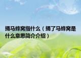 捅马蜂窝指什么（捅了马蜂窝是什么意思简介介绍）