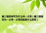 扈三娘的绰号为什么叫一丈青（扈三娘被称为一丈青一丈青到底是什么意思）