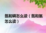 氮和磷怎么读（氮和氩怎么读）