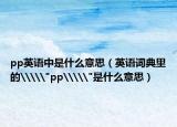 pp英语中是什么意思（英语词典里的\\