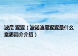 波尼 猩猩（波诺波黑猩猩是什么意思简介介绍）