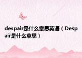 despair是什么意思英语（Despair是什么意思）