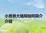 小爸爸大结局如何简介介绍