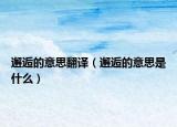 邂逅的意思翻译（邂逅的意思是什么）
