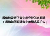 微信被设置了青少年守护怎么解除（微信如何解除青少年模式监护人）