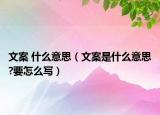 文案 什么意思（文案是什么意思?要怎么写）