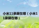 小米11录屏在哪（小米11录屏在哪）