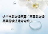 这个字怎么读罂粟（罂粟怎么读 罂粟的读法简介介绍）
