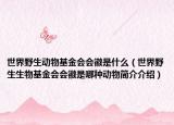 世界野生动物基金会会徽是什么（世界野生生物基金会会徽是哪种动物简介介绍）