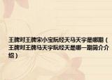 王牌对王牌宋小宝阮经天马天宇是哪期（王牌对王牌马天宇阮经天是哪一期简介介绍）